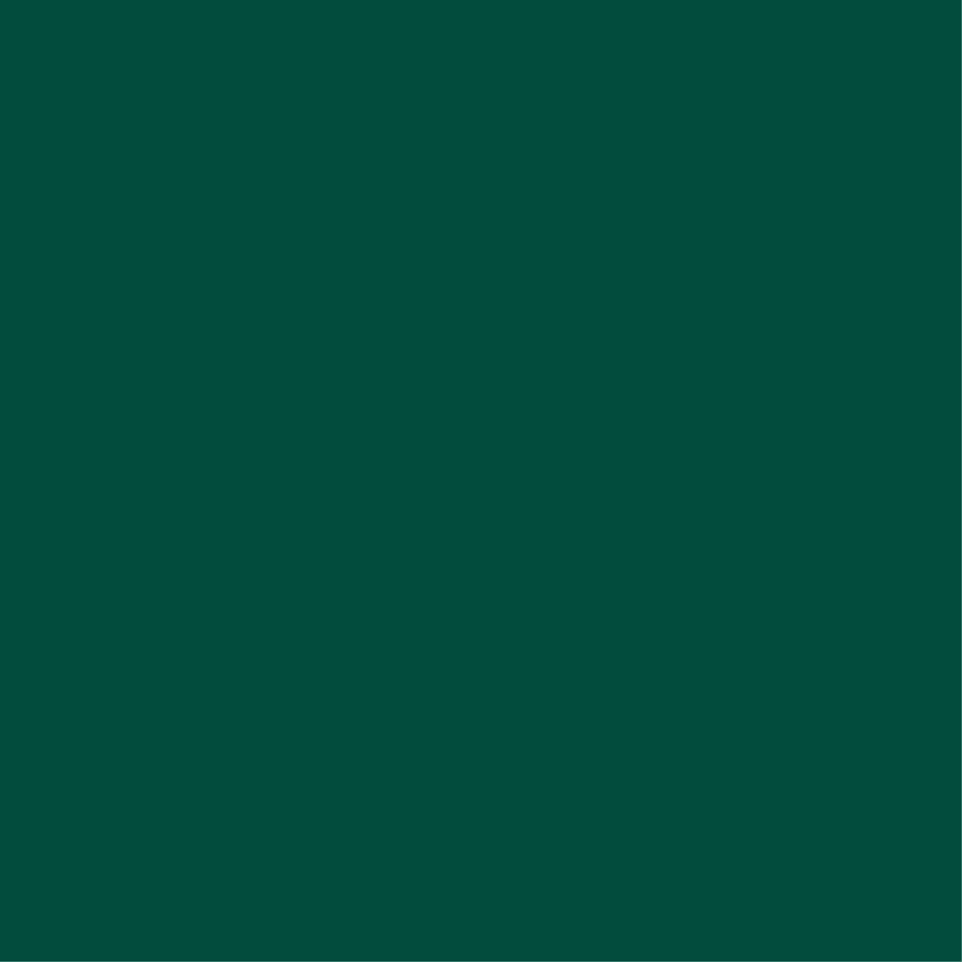 Vert mousse Vert mousse